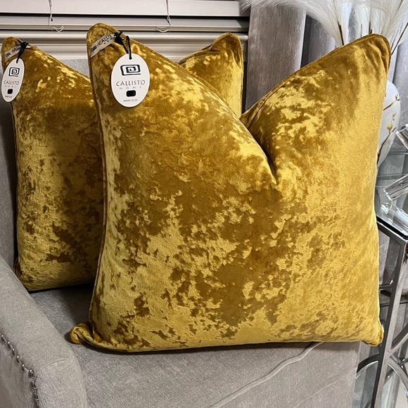 1-NET CALLISTO HOME VELVET DECORATIVE PILLOWS (Read description for details)